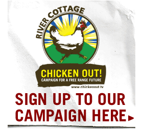 Chicken Out - Campaign for a Free Range Future